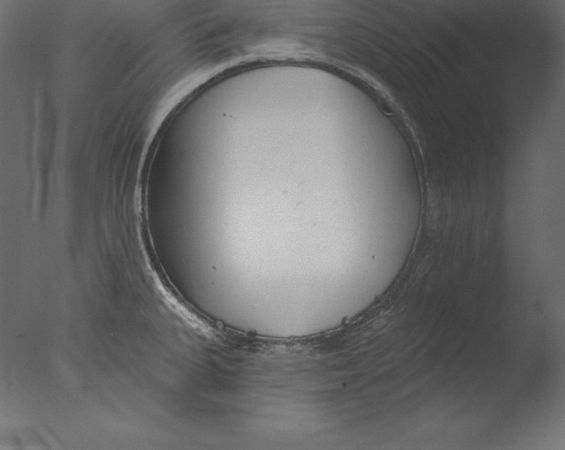 X0000076341335200610201721