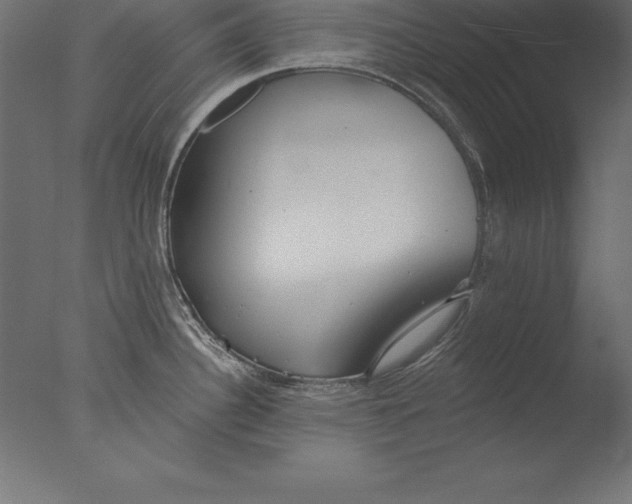 X0000076341340200610201721