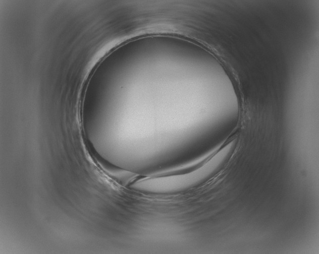 X0000076341342200610201721