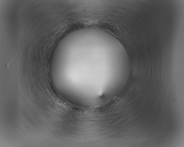 X0000076341345200610201720