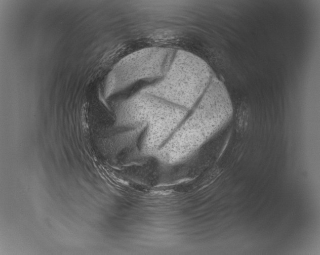 X0000076341346200610201720