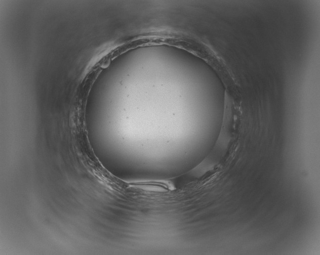 X0000076341352200610201720