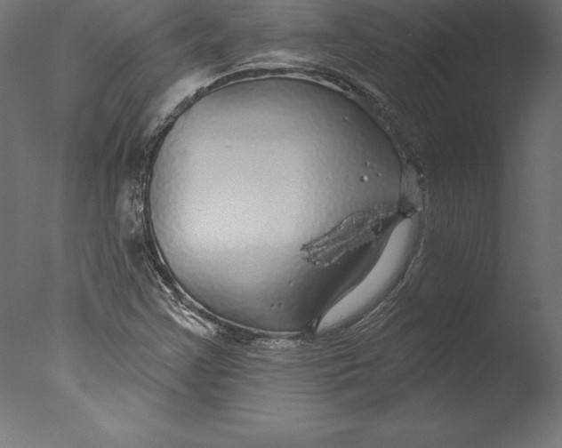 X0000076341355200610201720