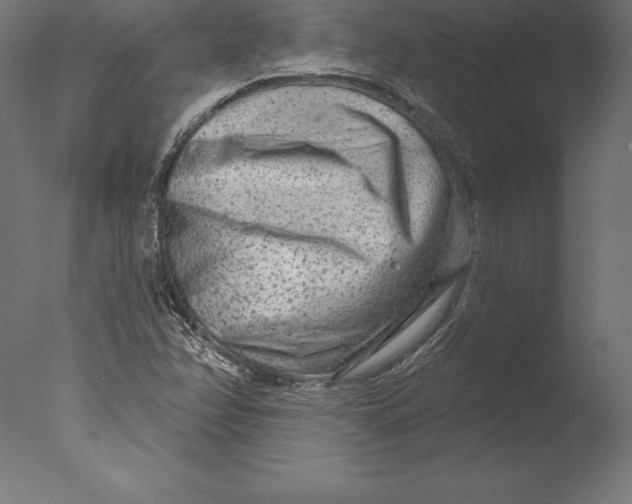 X0000076341358200610201720