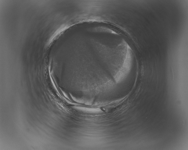X0000076341359200610201720