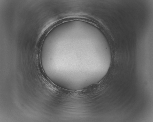 X0000076341360200610201720