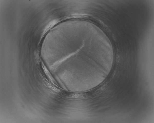 X0000076341362200610201720