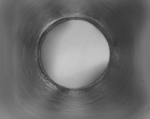 X0000076341364200610201720