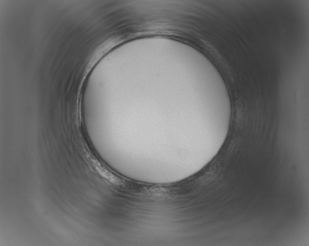 X0000076341370200610201720