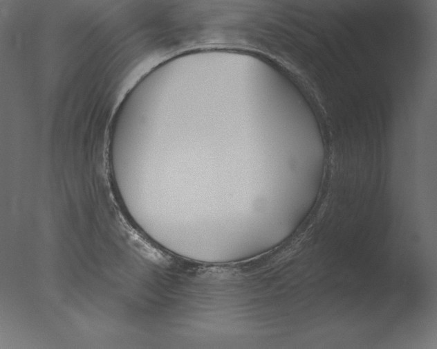 X0000076341374200610201719