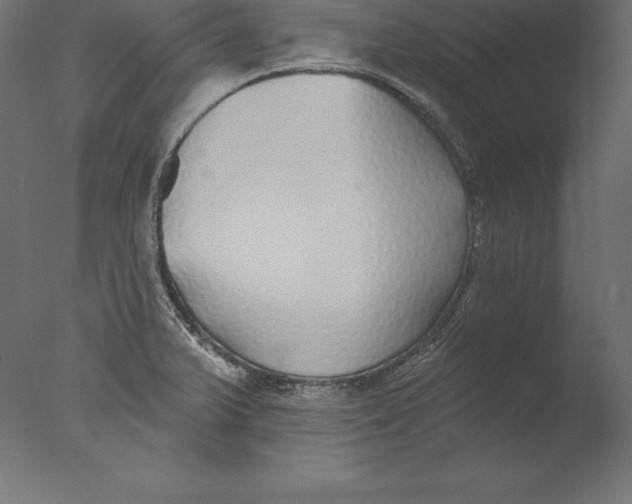 X0000076341375200610201719