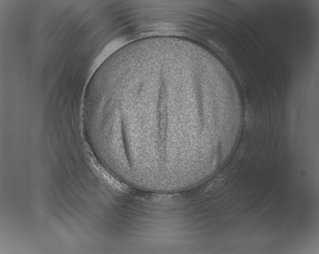 X0000076341378200610201719