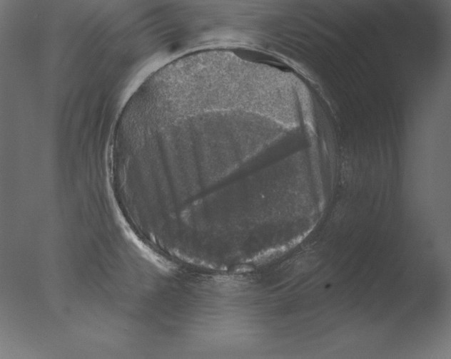 X0000076341383200610201719