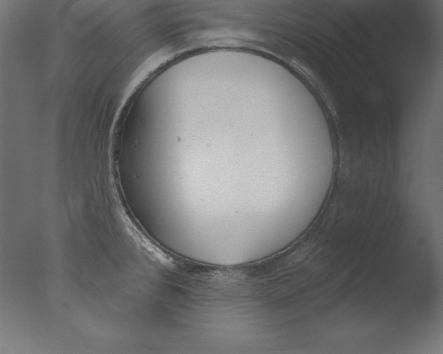 X0000076341384200610201719