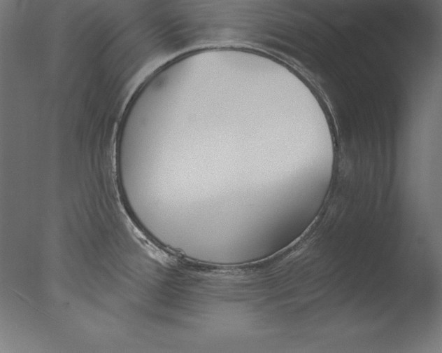 X0000076341388200610201719