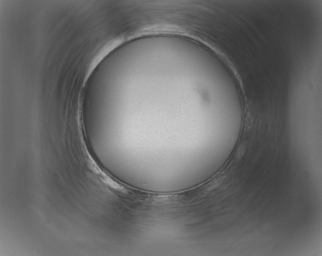 X0000076341390200610201719