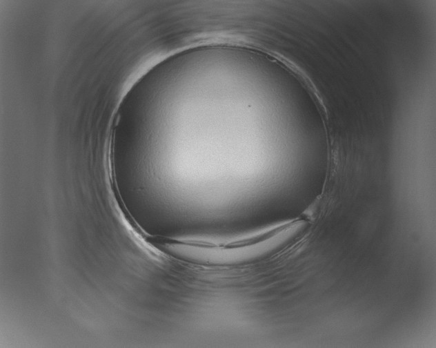 X0000076341391200610201719