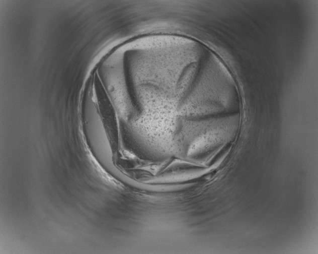 X0000076341392200610201719