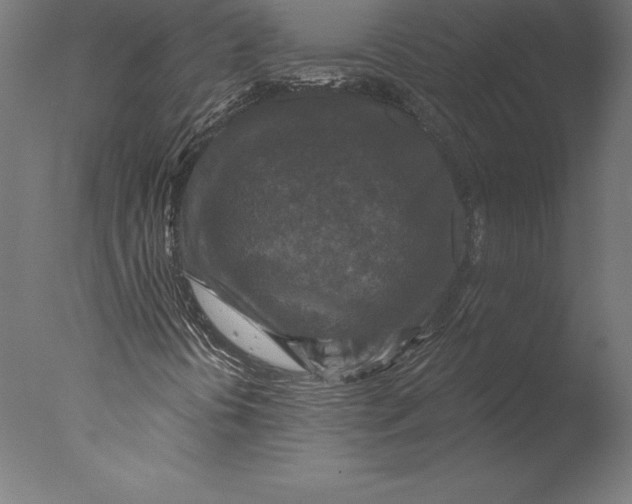 X0000076341394200610201718
