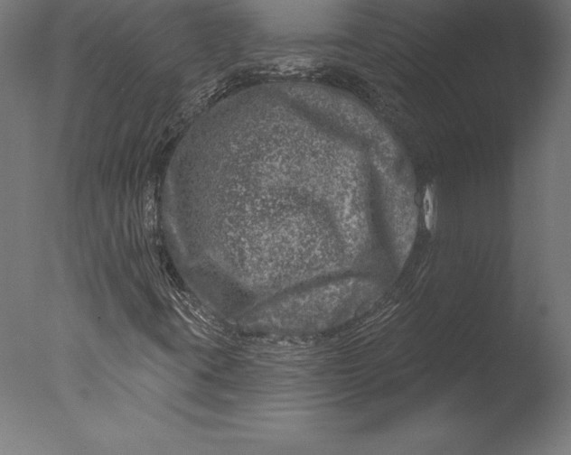 X0000076341395200610201718