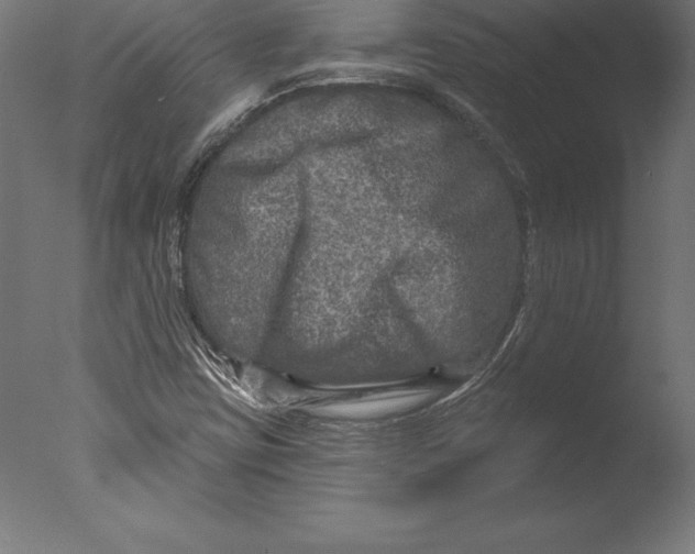 X0000076341403200610201719