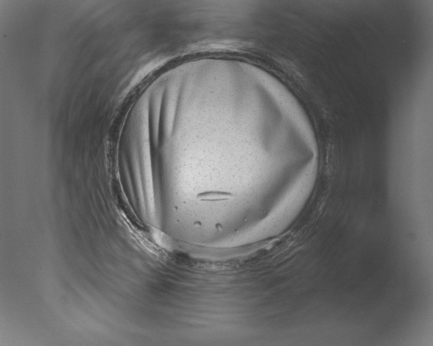 X0000076341404200610201719