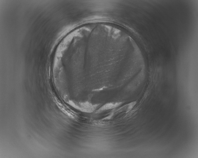 X0000076341413200610201719