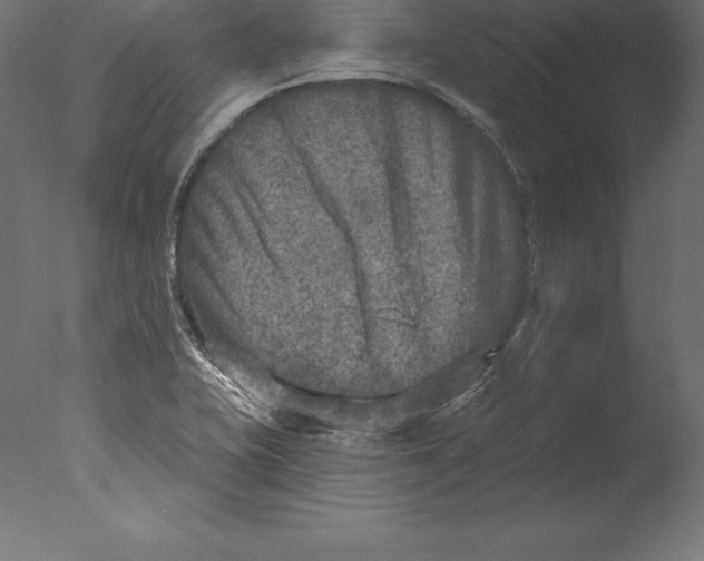 X0000076341415200610201719