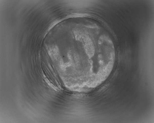 X0000076341417200610201719
