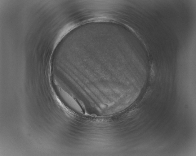 X0000076341418200610201719