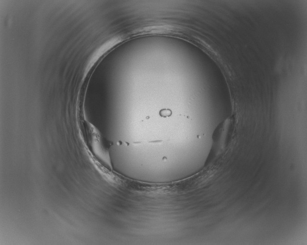 X0000076341426200610201719