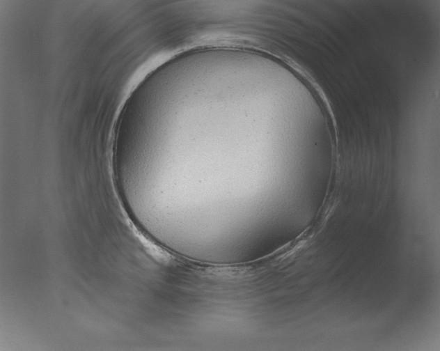 X0000076341437200610201719