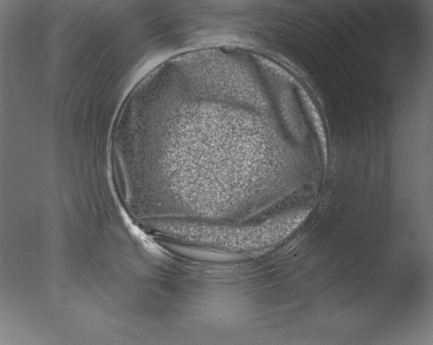X0000076341439200610201719