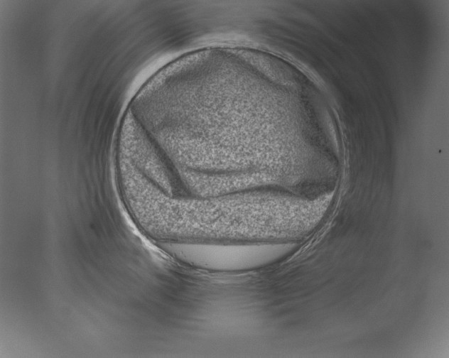 X0000076341440200610201719