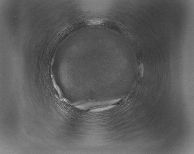 X0000076341441200610201718