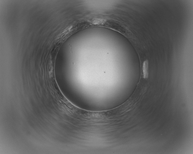 X0000076341443200610201718