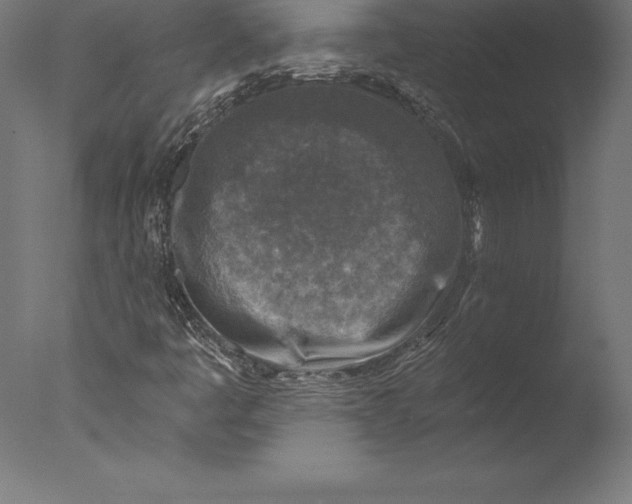 X0000076341445200610201718