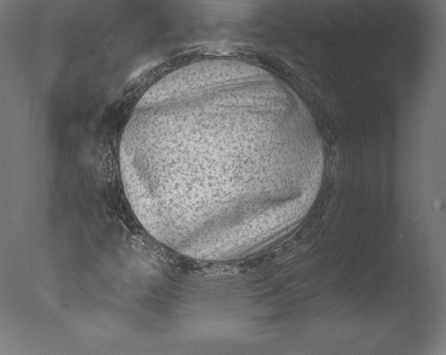 X0000076341446200610201718