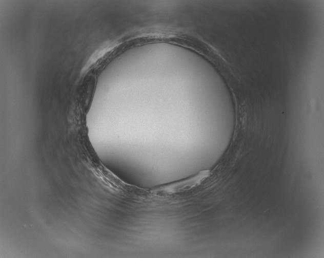 X0000076341448200610201718