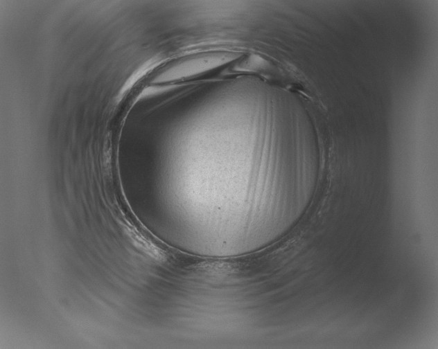 X0000076341450200610201718