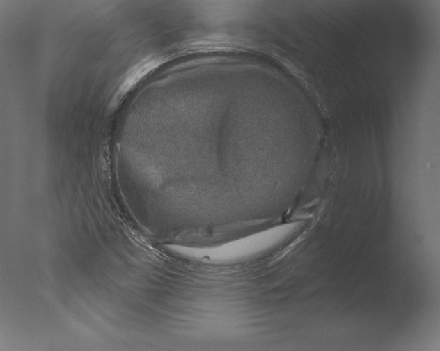 X0000076341453200610201718