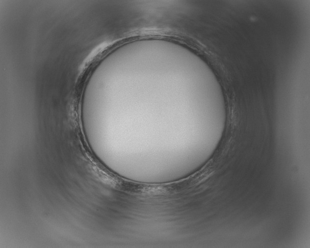 X0000076341454200610201718