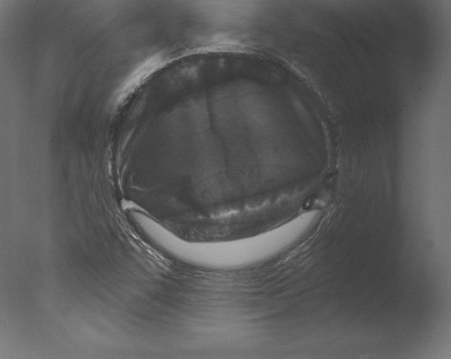 X0000076341455200610201718