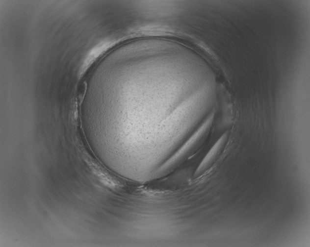 X0000076341461200610201718