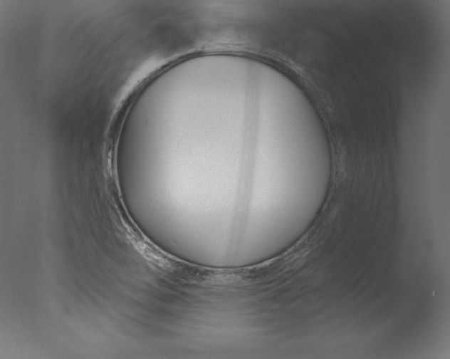 X0000076341462200610201718