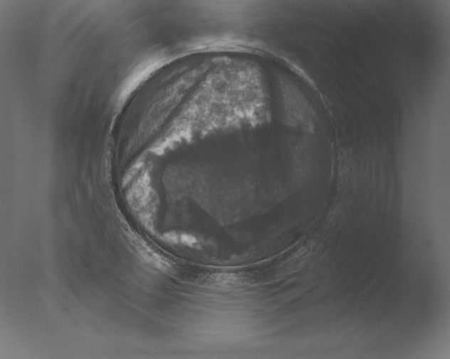 X0000076341463200610201718