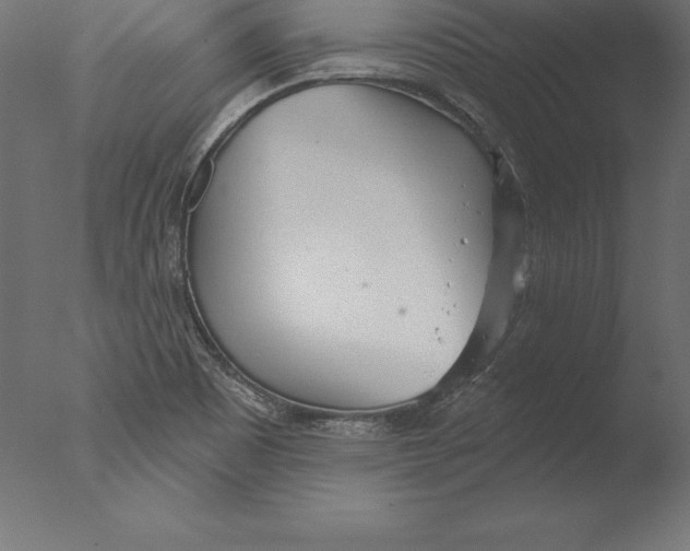 X0000076341465200610201718