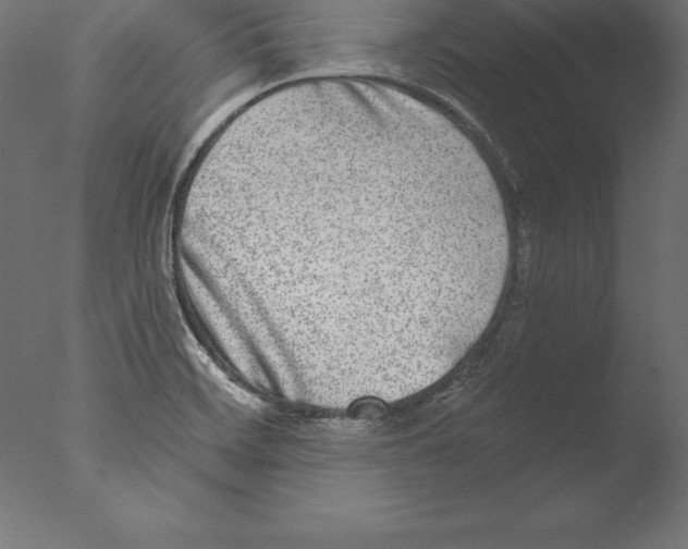 X0000076341468200610201718