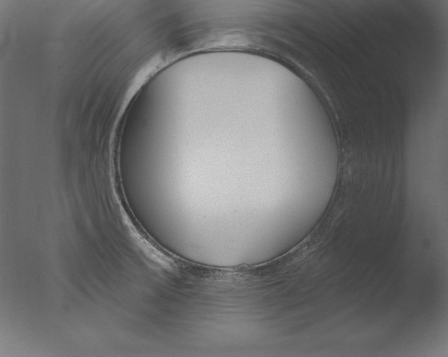 X0000076341475200610201718