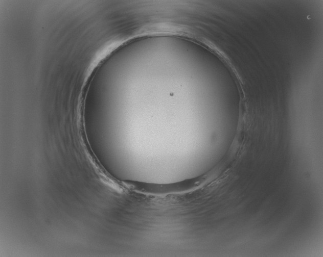 X0000076341477200610201718